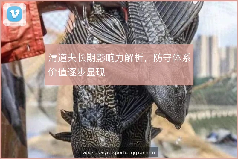 清道夫长期影响力解析，防守体系价值逐步显现