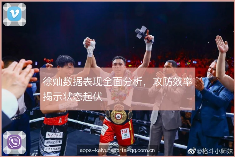 徐灿数据表现全面分析，攻防效率揭示状态起伏